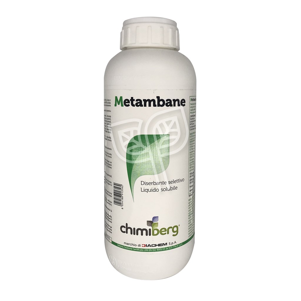 METAMBANE CHIMIBERG - LT 1